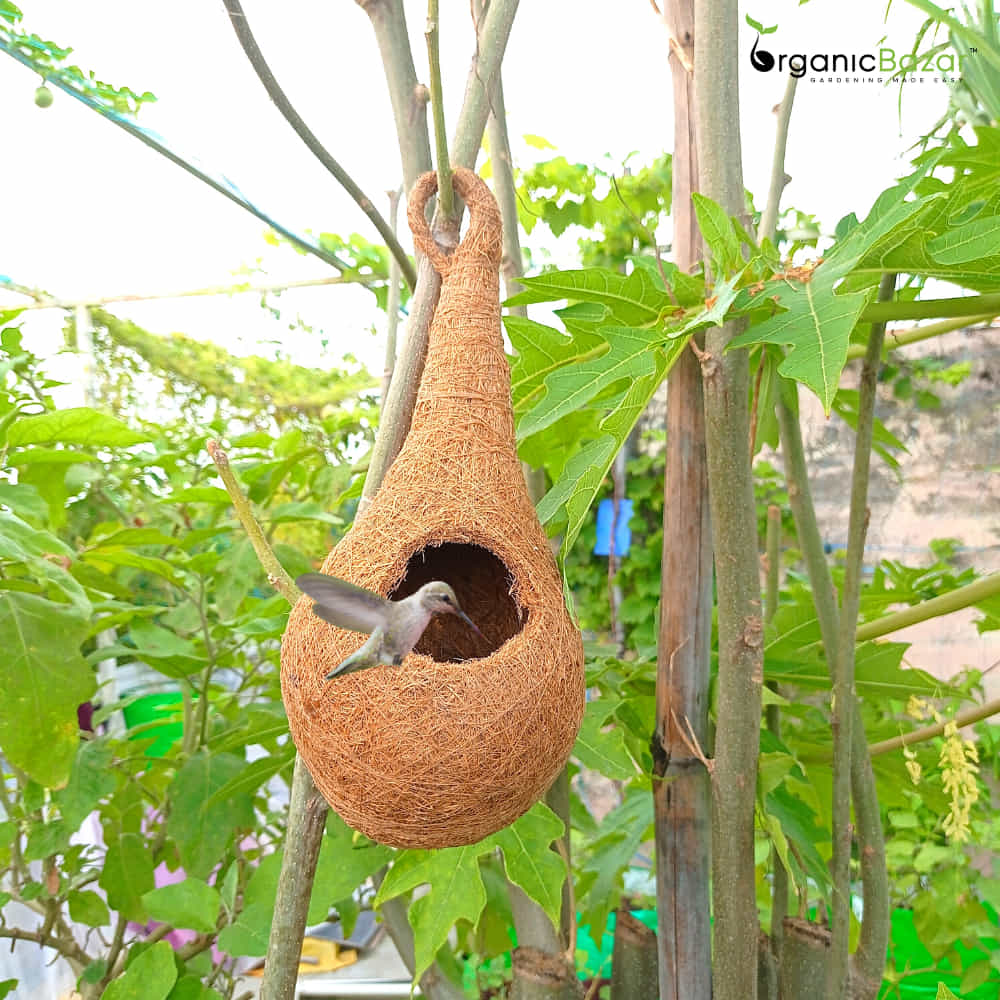 Coir Fibre Bird Nest for Garden