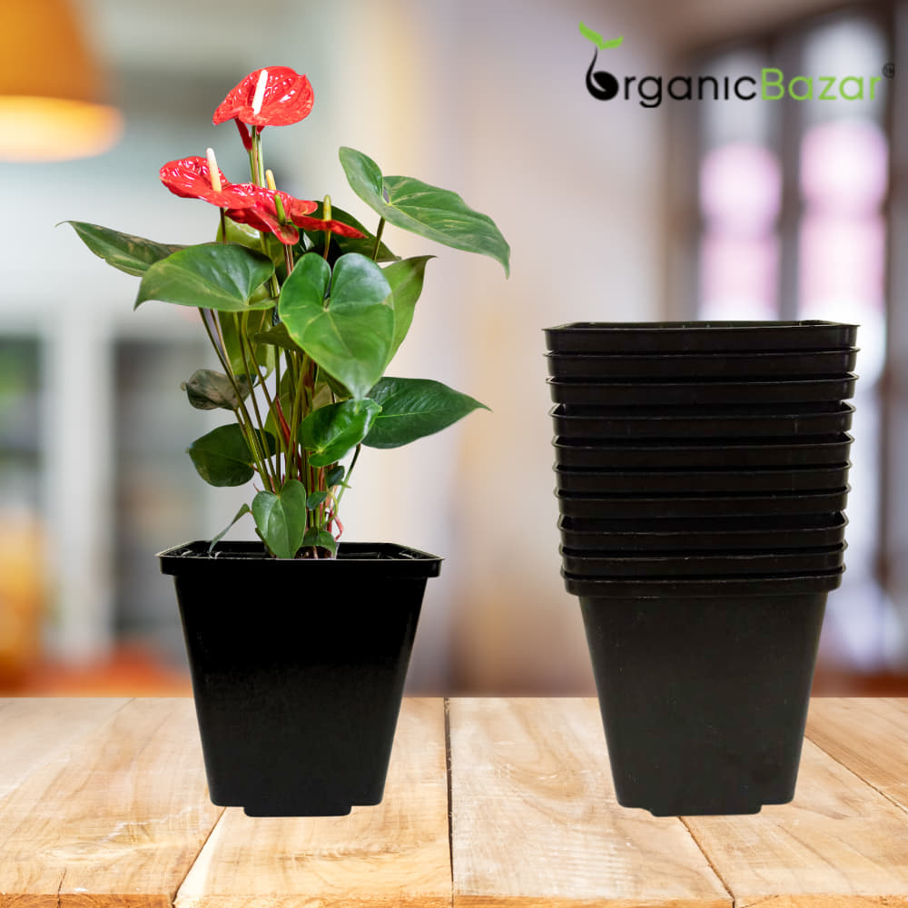 Square Nursery Pots for Seedlings (Black)