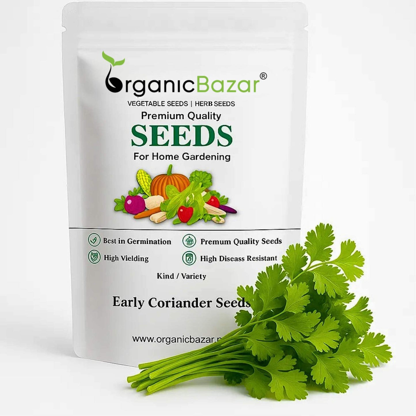 Early Coriander Seeds For Home Gardening Harvest In 4-6 Weeks (1000 Seeds)