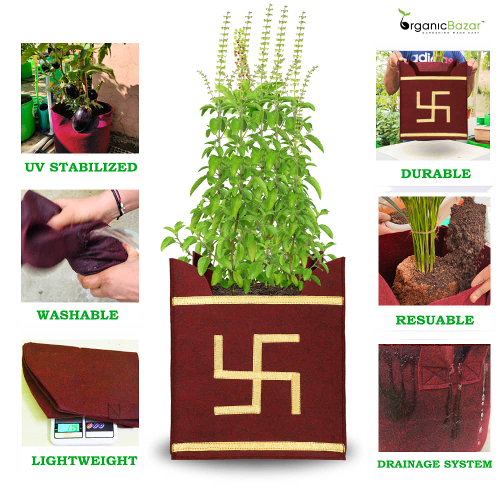 Geo Fabric 10x10 Grow Bag For Tulsi Plant (Tulsi Grow Bag)
