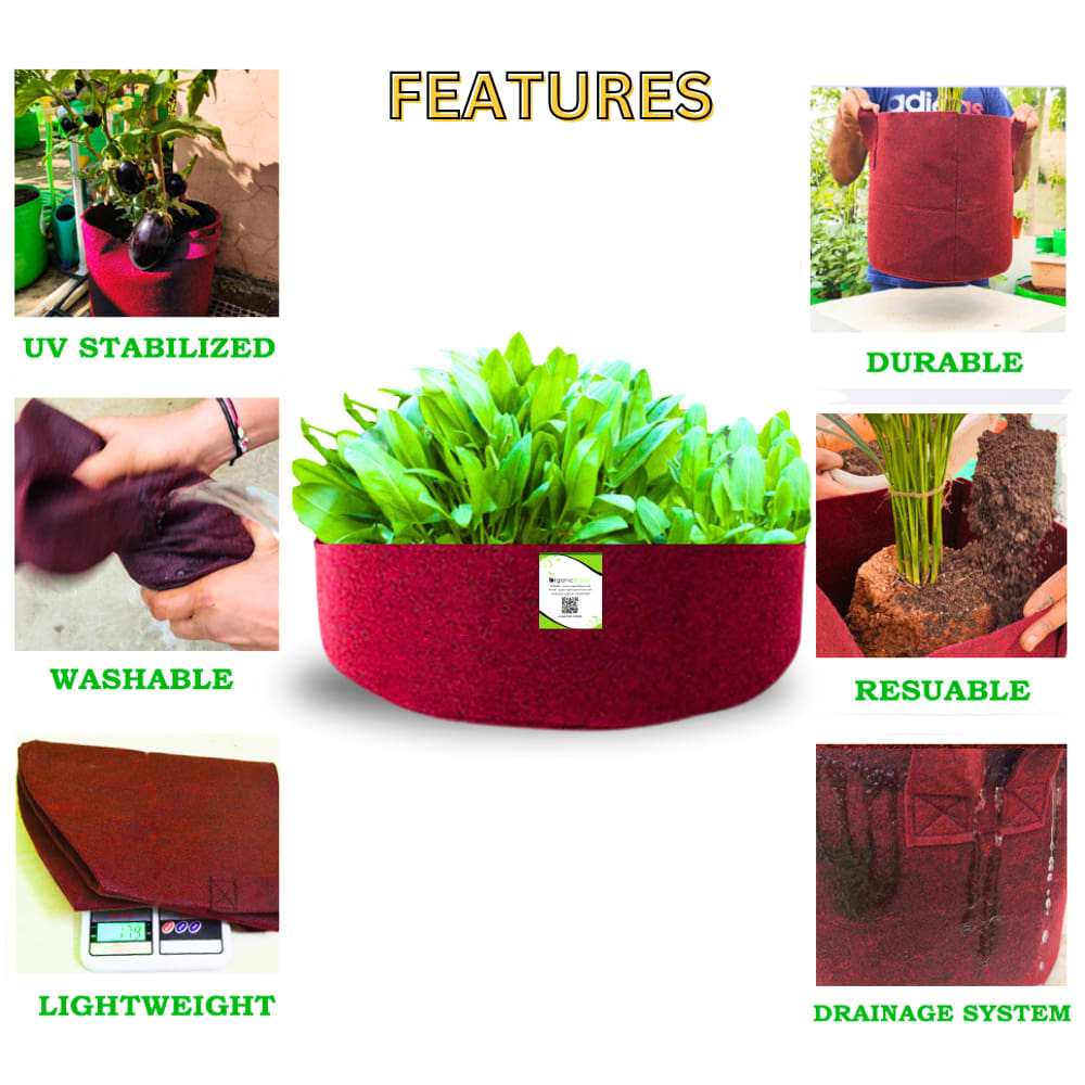OrganicBazar Geo 18x6 Leafy Grow Bags for Leafy Vegetables for Terrace Garden, Premium Geo Fabric 450 GSM Plant Bags
