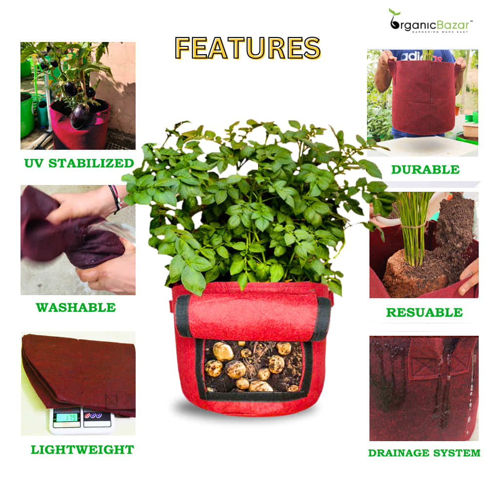 Geo Fabric 15X12 Potato Grow Bag With Harvest Window For Terrace Gardening Suitable For Vegetable and Flower Plants
