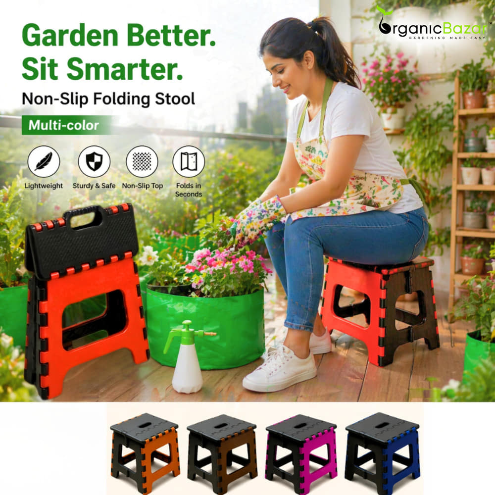 Non-Slip Folding Stool (Multi-color) | Compact & Portable | Multipurpose for Kitchen, Bathroom, Garden, and Outdoor Use (Random Color, Pack of 1)