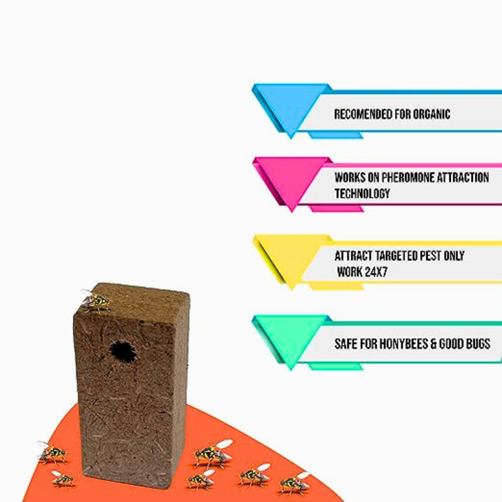 Fruit Fly Trap With Pheromone Lure For Organic Fruits Gardening | Eco-Friendly Pest Control for Mango, Guava, Papaya & All Fruit Crops