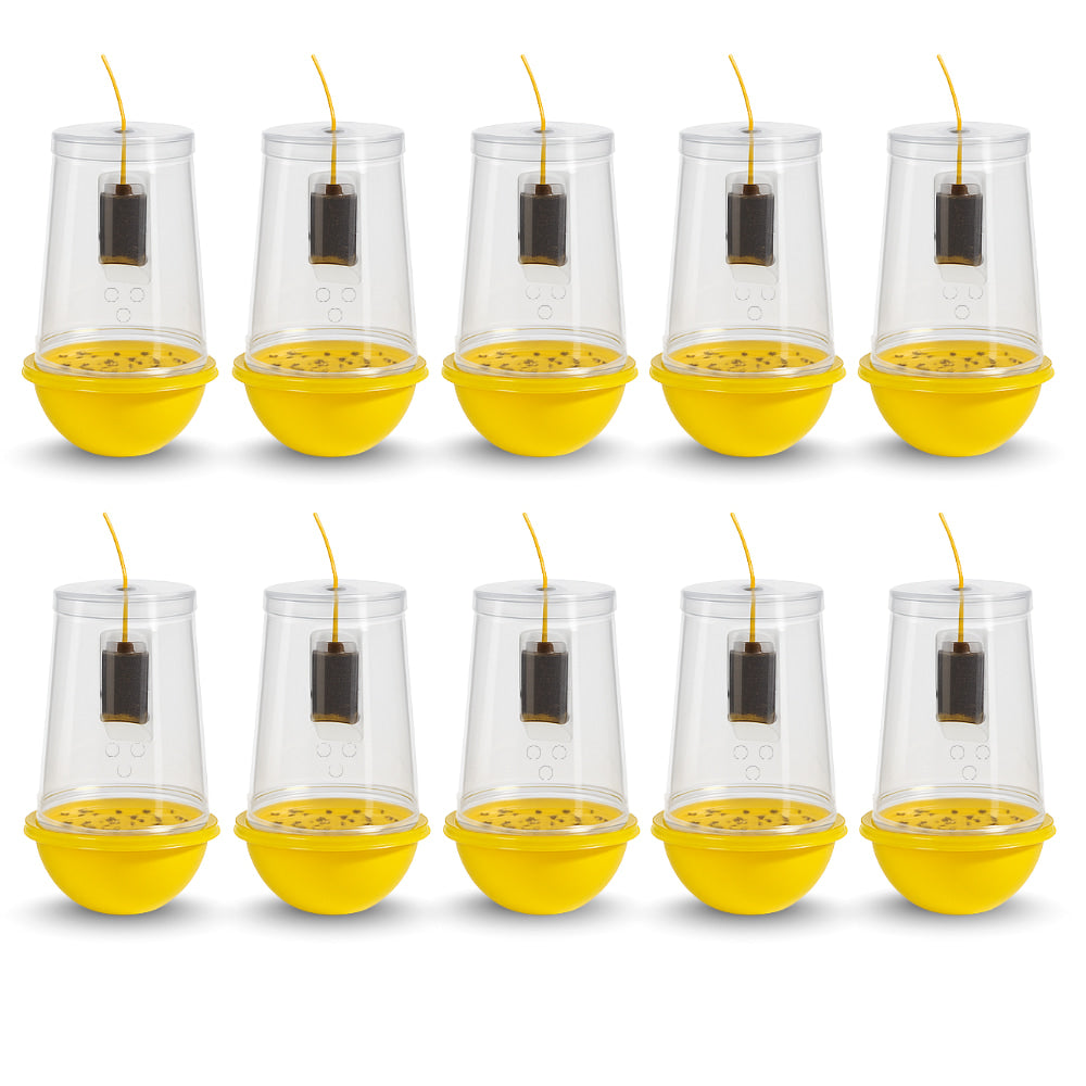 Fruit Fly Trap With Pheromone Lure For Organic Fruits Gardening | Eco-Friendly Pest Control for Mango, Guava, Papaya & All Fruit Crops