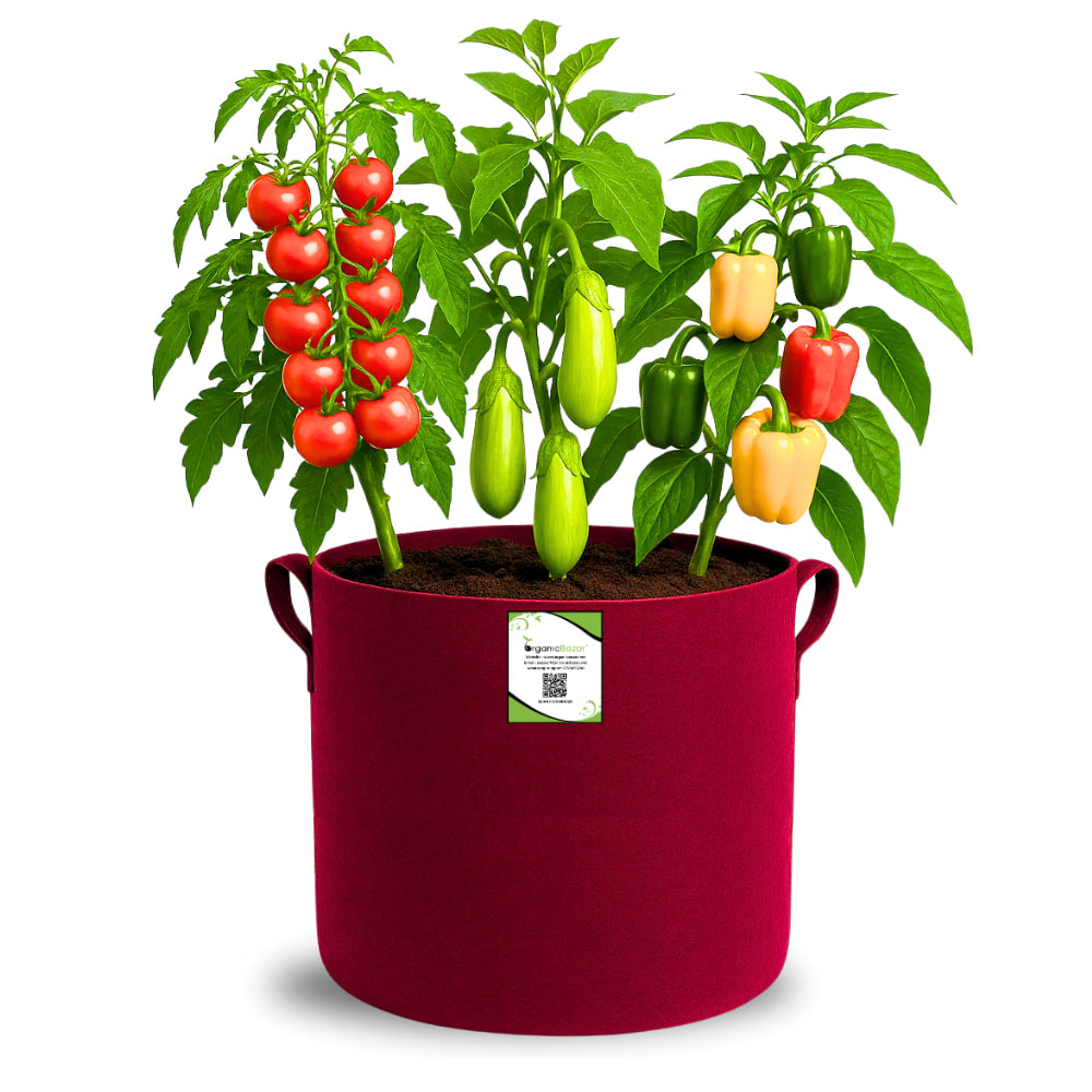 Geo Fabric 12x12 Grow Bag For Terrace Gardening Suitable For Vegetable and Flower Plants