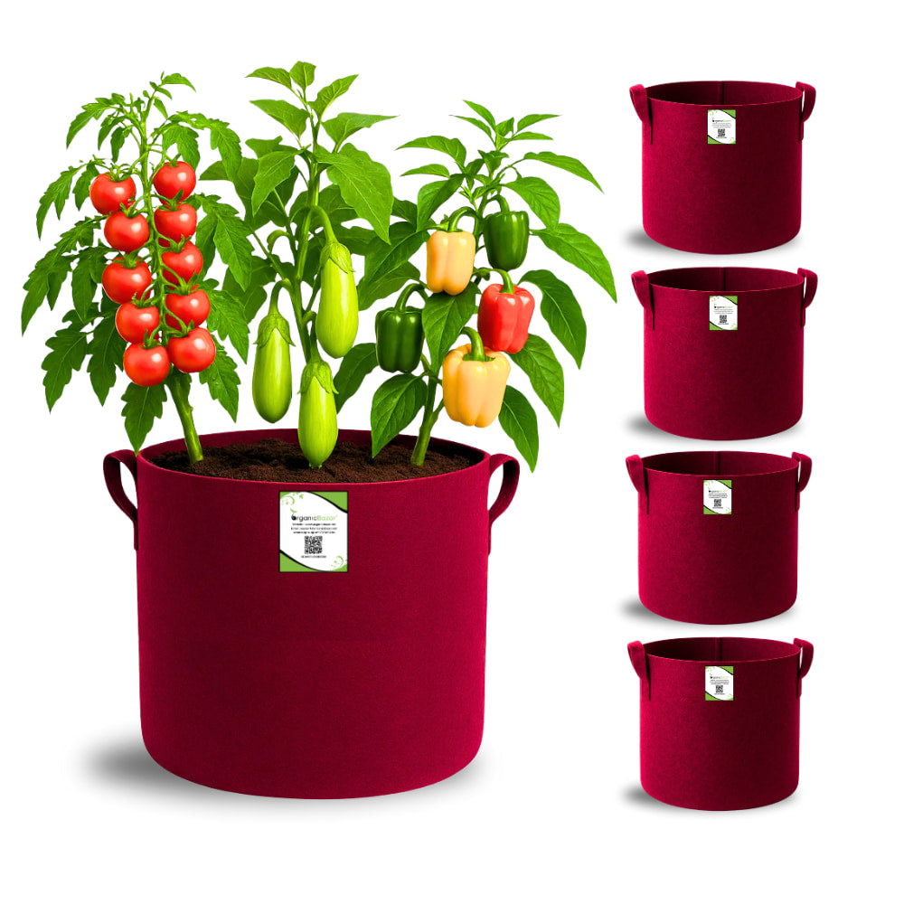 Geo Fabric 12x12 Grow Bag For Terrace Gardening Suitable For Vegetable and Flower Plants