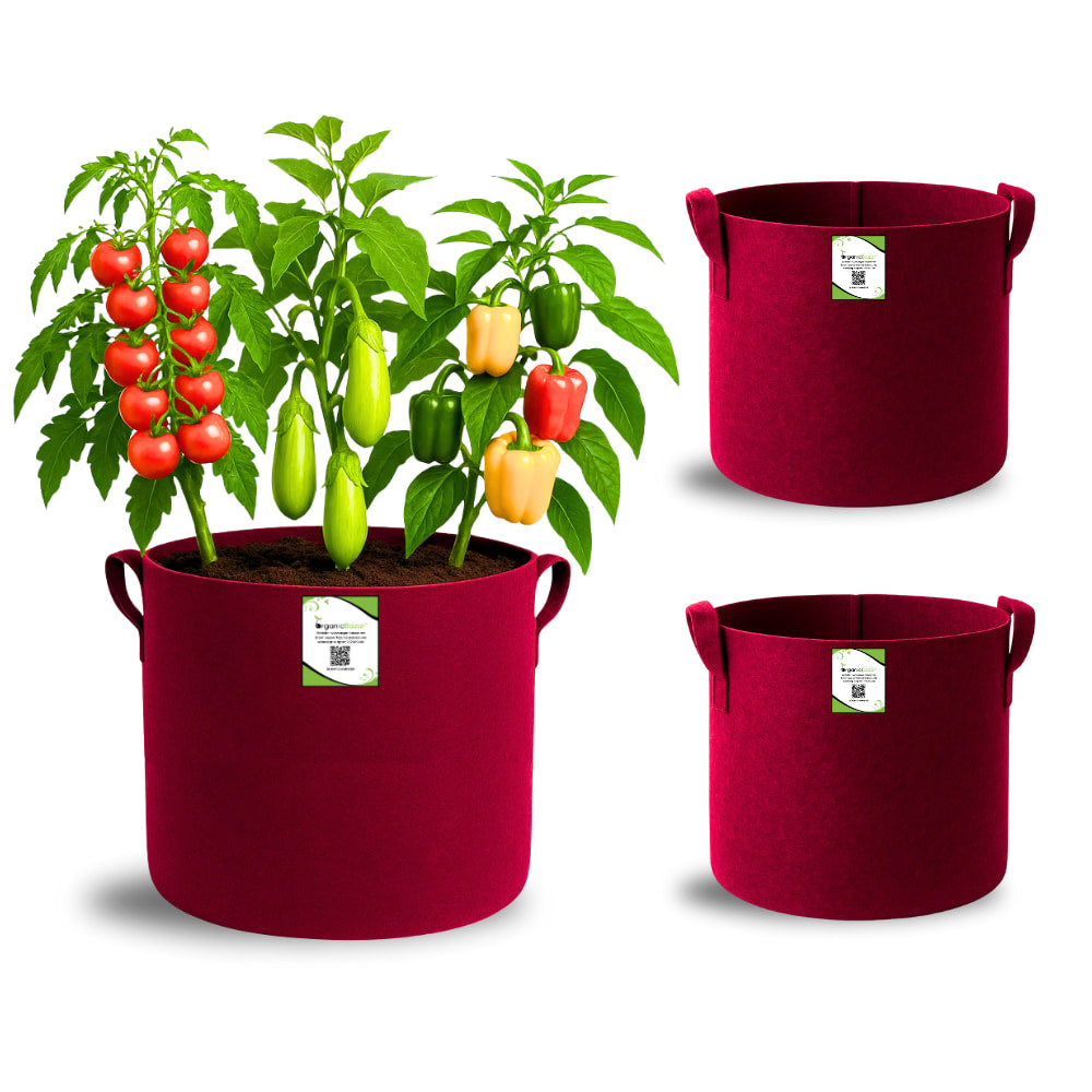 Geo Fabric 12x12 Grow Bag For Terrace Gardening Suitable For Vegetable and Flower Plants