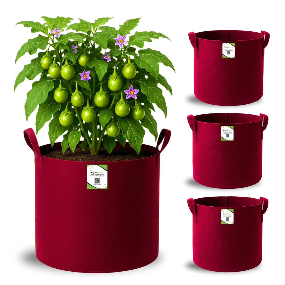 Geo Fabric 15x15 Grow Bag For Terrace Gardening Suitable For Vegetable and Flower Plants