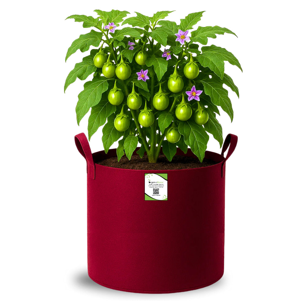 Geo Fabric 15x15 Grow Bag For Terrace Gardening Suitable For Vegetable and Flower Plants