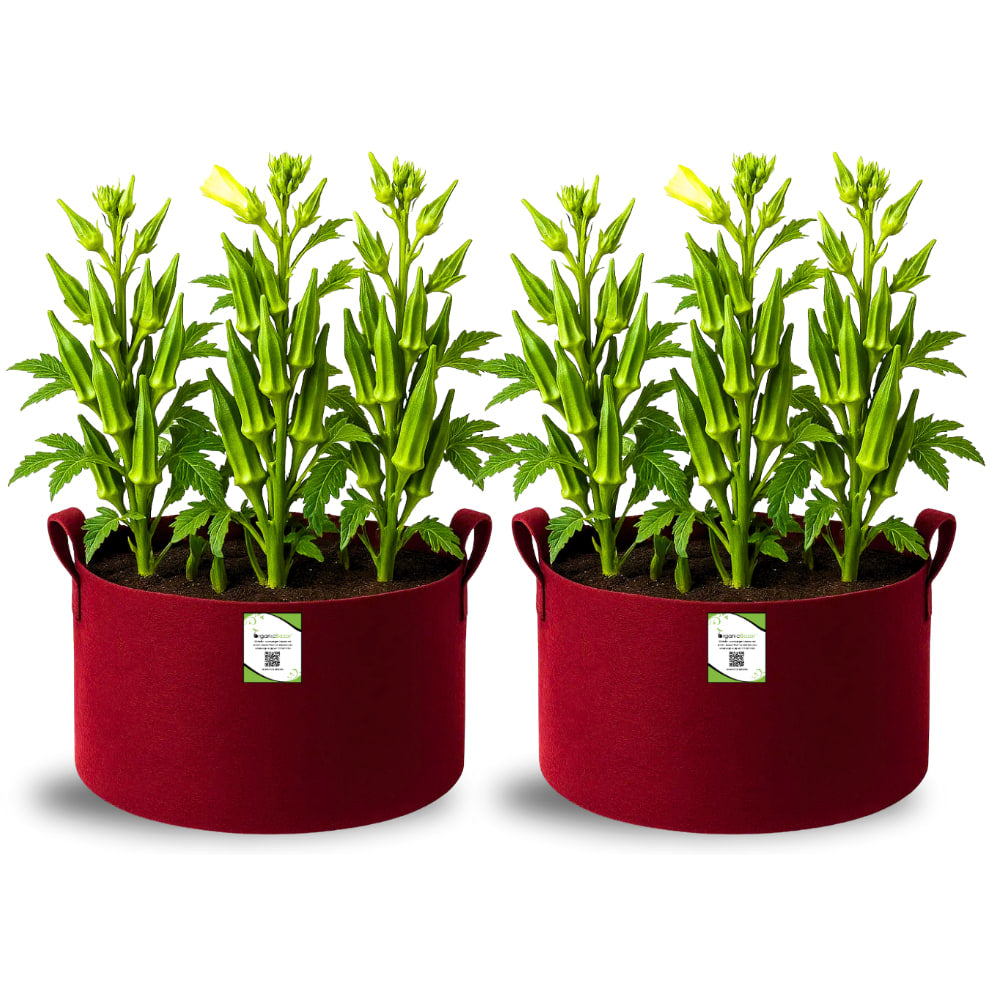 Premium 18X12 Geo Fabric Grow Bags For Home Garden