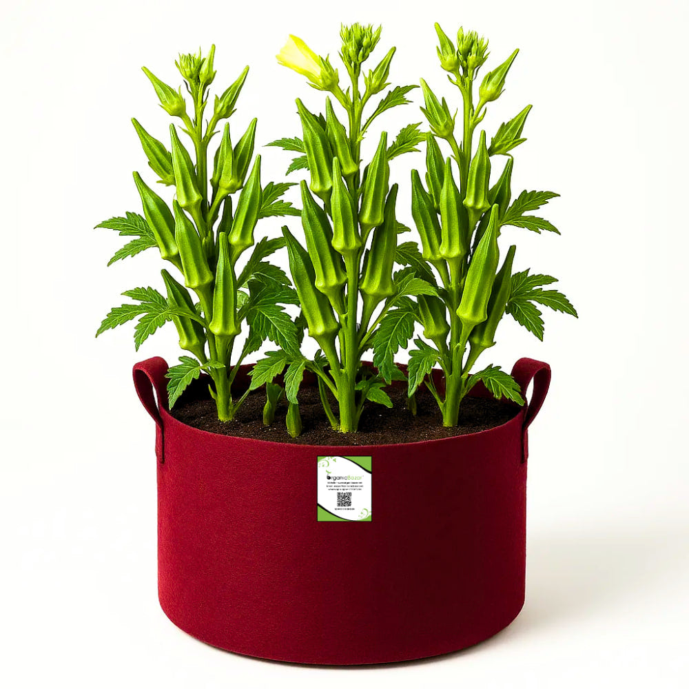 Premium 18X12 Geo Fabric Grow Bags For Home Garden