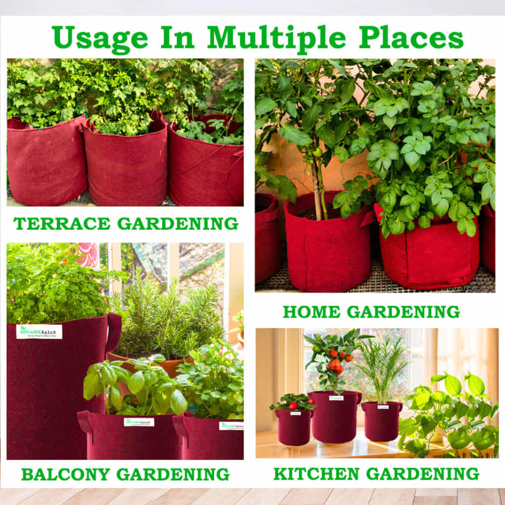 Geo Fabric 15x15 Grow Bag For Terrace Gardening Suitable For Vegetable and Flower Plants