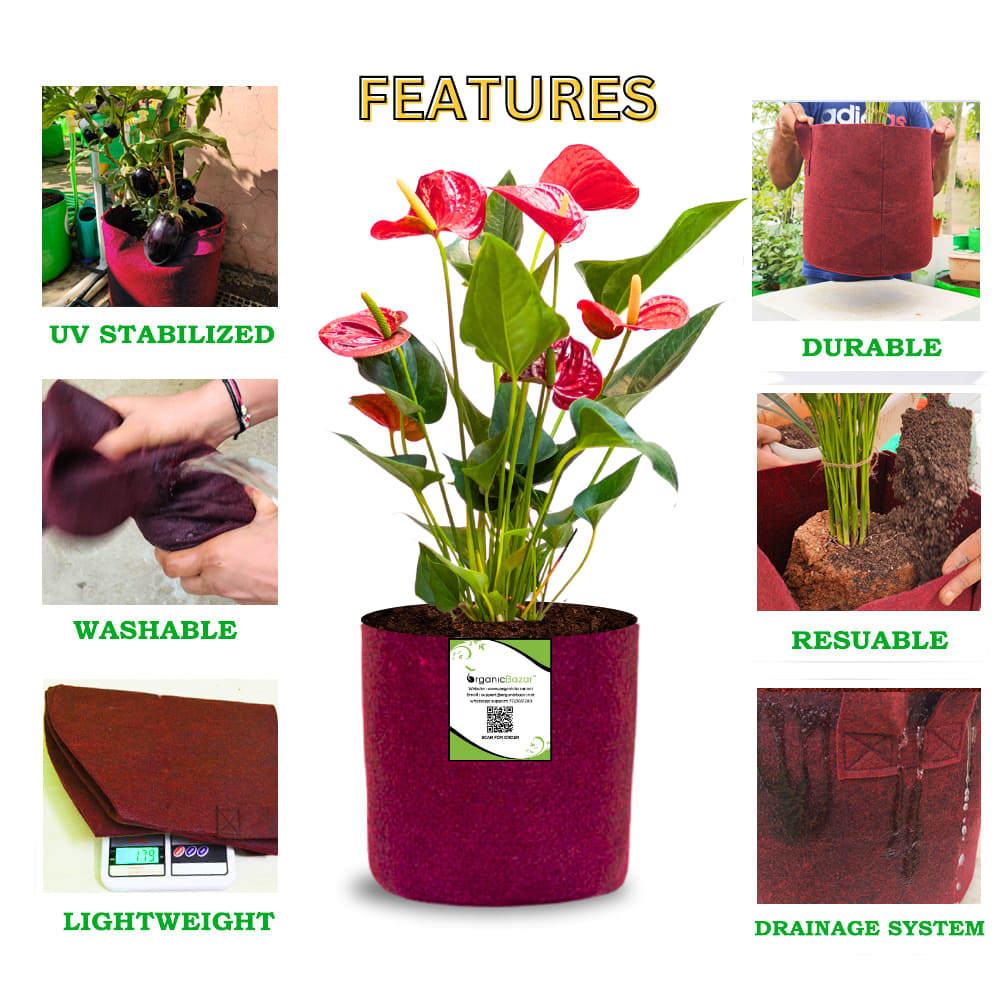 OrganicBazar 6x6 Small Size Grow Bags for Terrace Gardening, Premium Quality Geo Fabric 450 GSM Planters for Small Plants