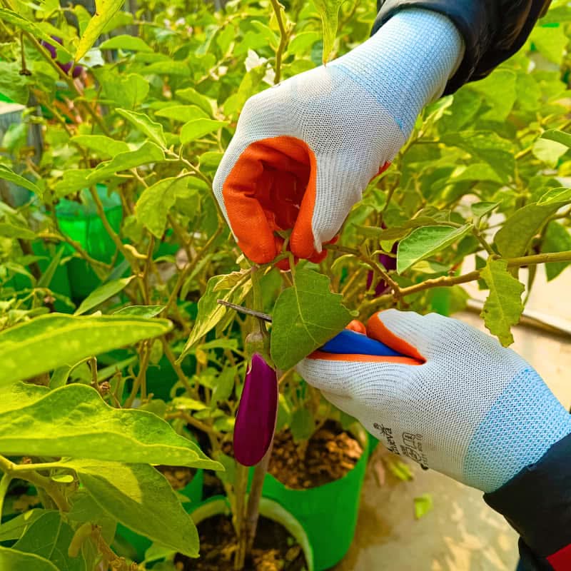 Gardening Gloves for Men and Women