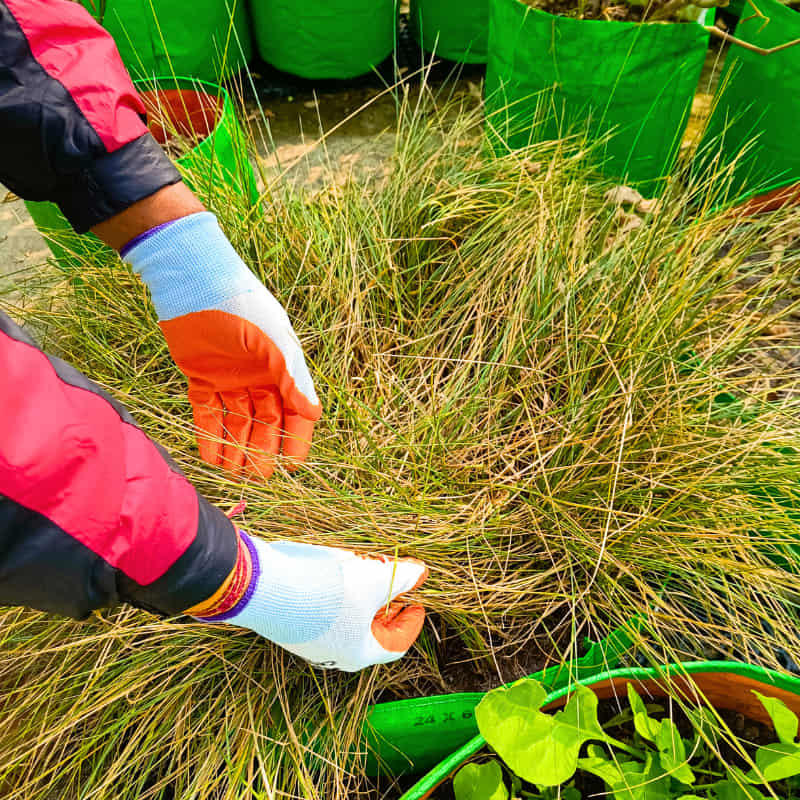 Gardening Gloves for Men and Women