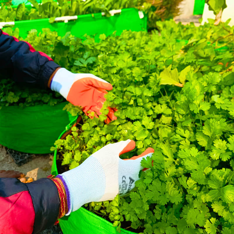 Gardening Gloves for Men and Women