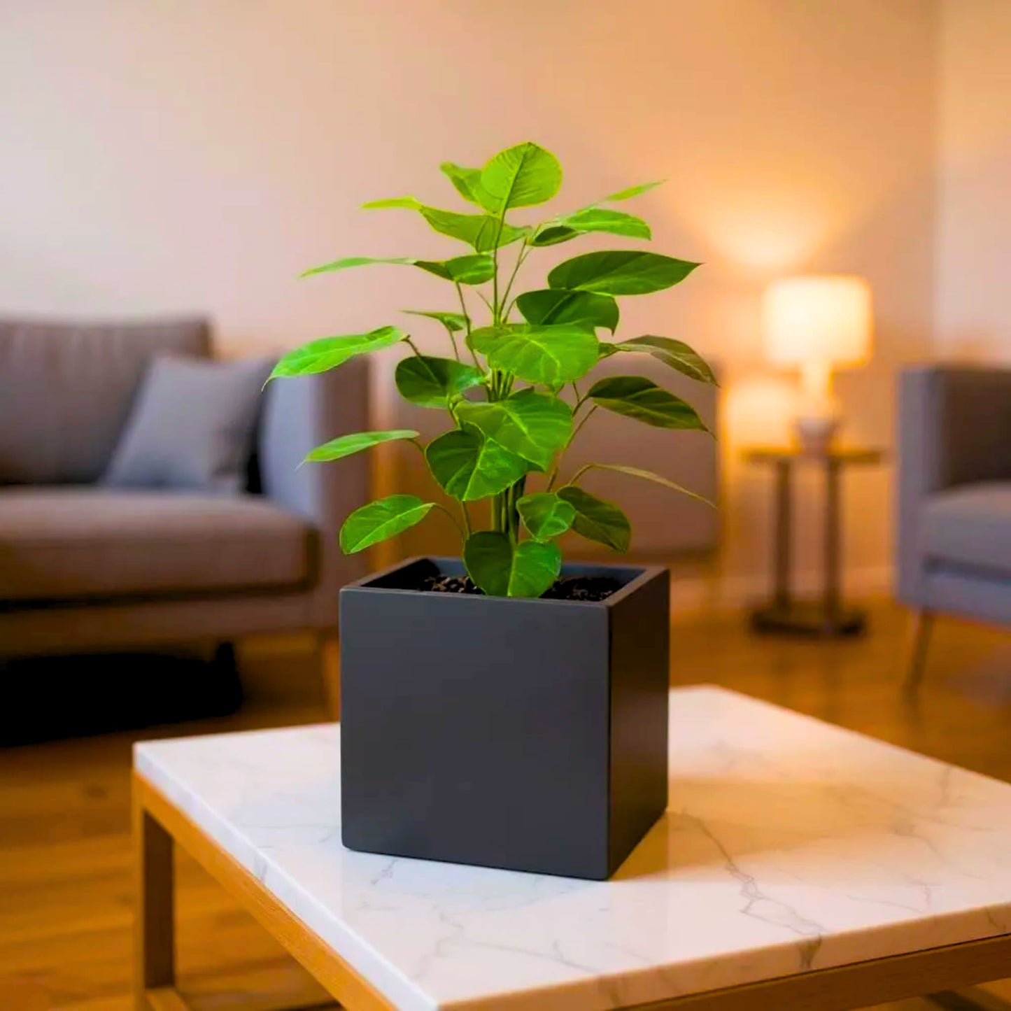 Roto Plastic Pot Decorative Grey Container with 10+ Years Durability | Lightweight, Unbreakable & Weatherproof Plant Pots | Premium Planter Indoor-Outdoor Garden, Balcony, & Living Room (Grey Marble, Pack of 1)