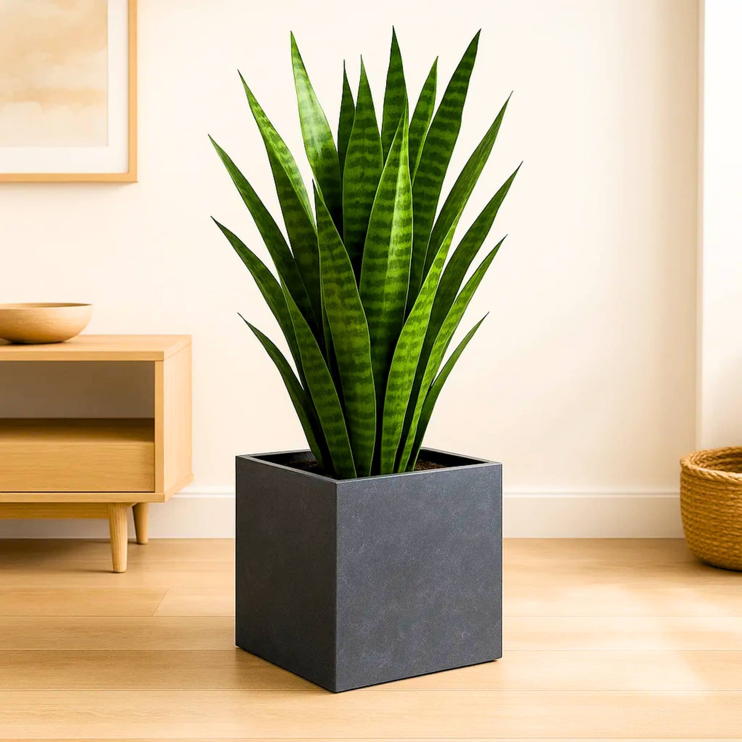 Roto Plastic Pot Decorative Grey Container with 10+ Years Durability | Lightweight, Unbreakable & Weatherproof Plant Pots | Premium Planter Indoor-Outdoor Garden, Balcony, & Living Room (Grey Marble, Pack of 1)