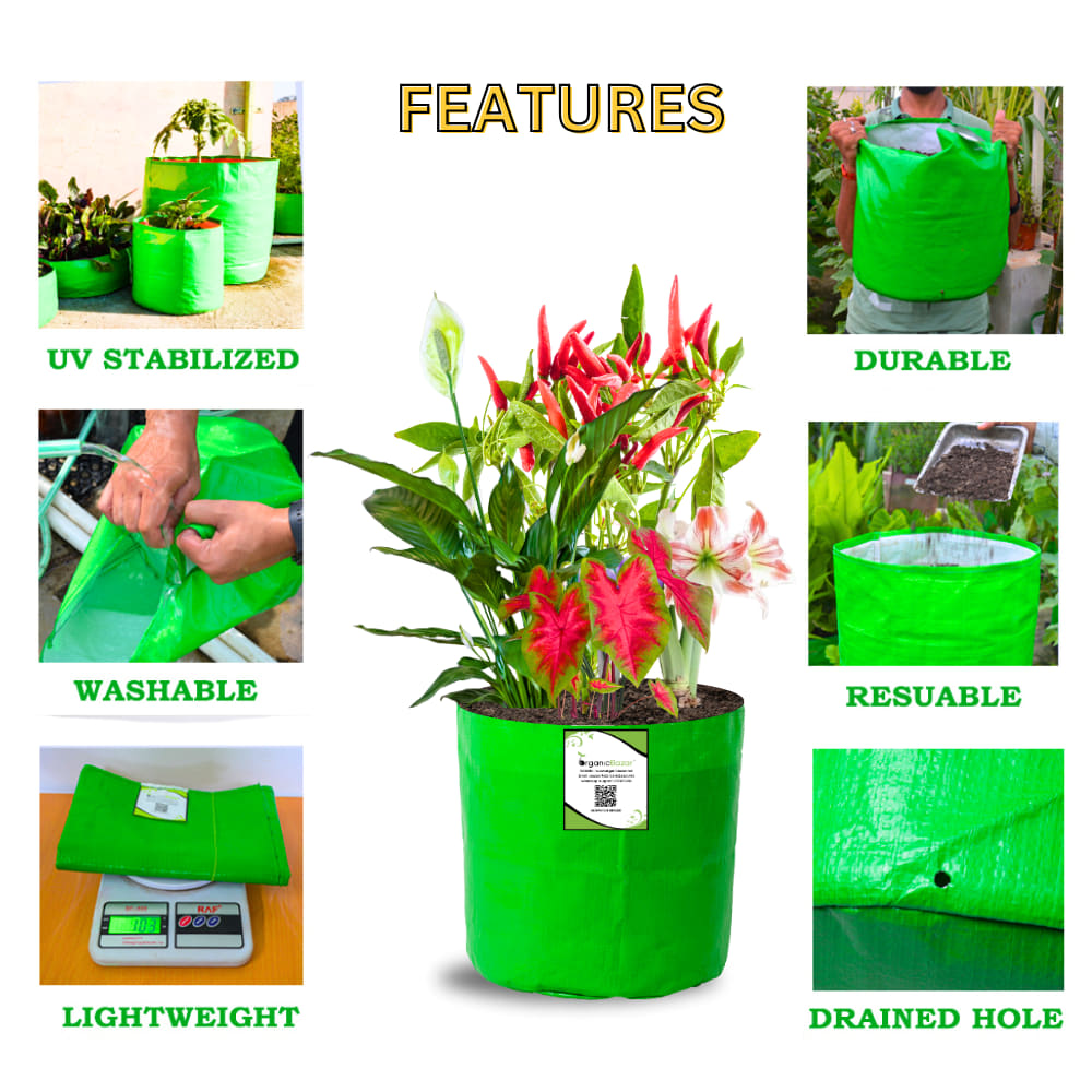 OrganicBazar 8x8 Grow Bags for Terrace Garden, Premium HDPE 260 GSM, Green Plant Bags