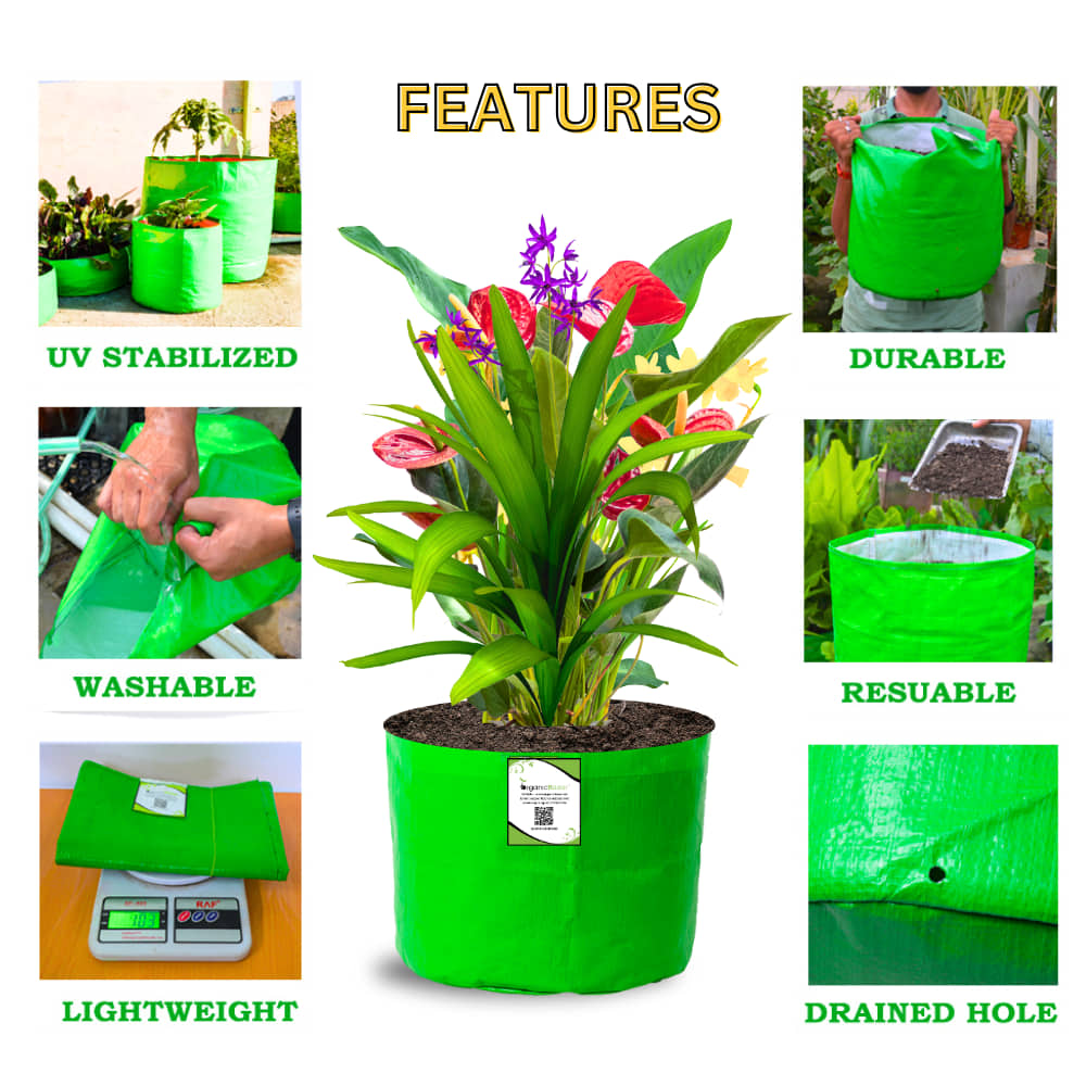 OrganicBazar 9x6 Small Grow Bag for Terrace Garden, Premium HDPE 260 GSM, Green Plant Bags
