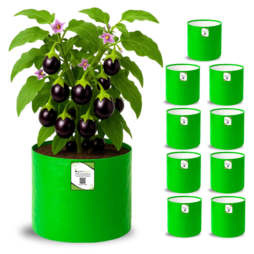 OrganicBazar HDPE 10×10 Cylindrical Grow Bag – 260 GSM | UV-Stabilized Round Grow Bag for Vegetables & Flowers