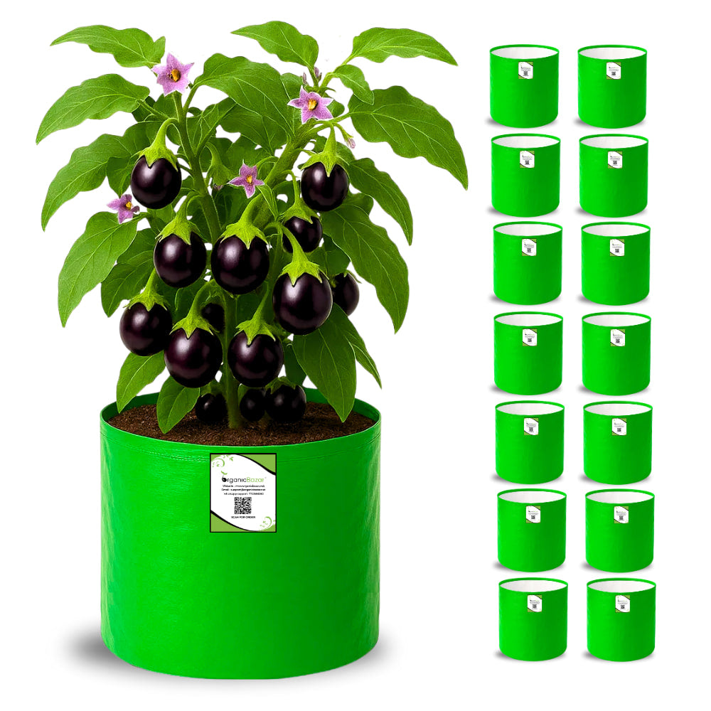 OrganicBazar HDPE 10×10 Cylindrical Grow Bag – 260 GSM | UV-Stabilized Round Grow Bag for Vegetables & Flowers