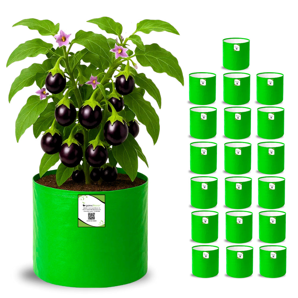 OrganicBazar HDPE 10×10 Cylindrical Grow Bag – 260 GSM | UV-Stabilized Round Grow Bag for Vegetables & Flowers