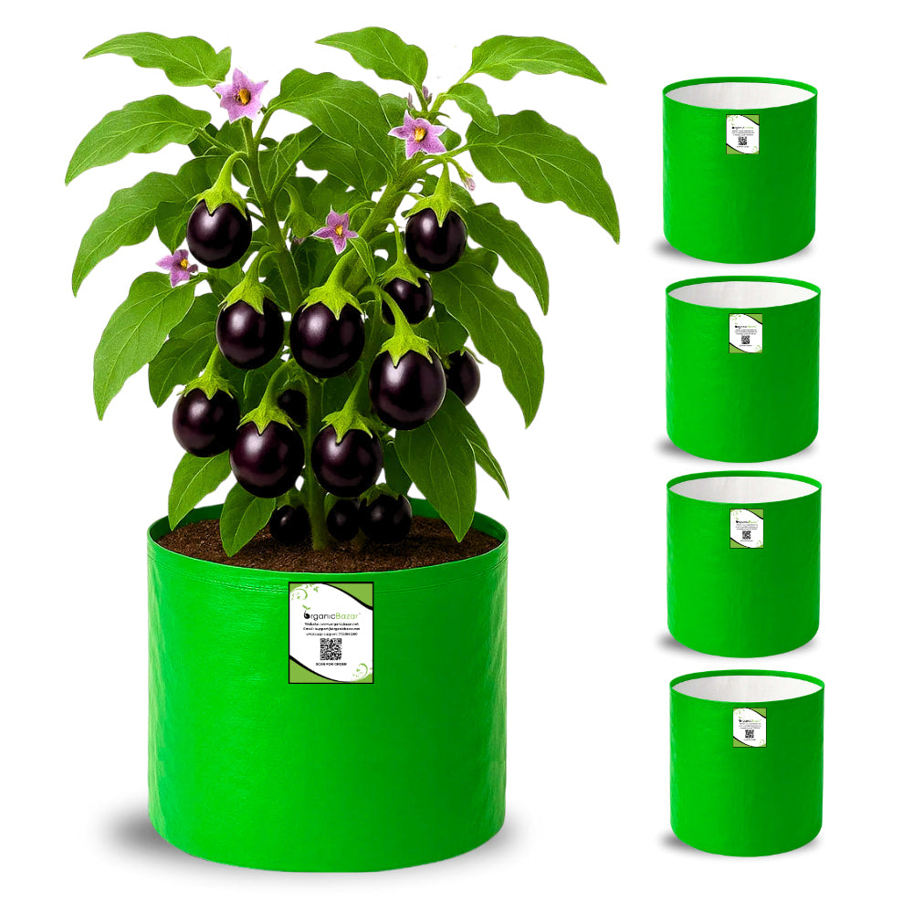 OrganicBazar HDPE 10×10 Cylindrical Grow Bag – 260 GSM | UV-Stabilized Round Grow Bag for Vegetables & Flowers
