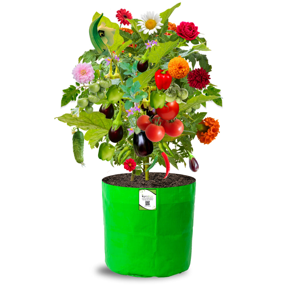 OrganicBazar 12×12 HDPE Round Grow Bag – Premium Quality, Heavy-Duty, UV-Stabilized (260 GSM) Green Plant Bags