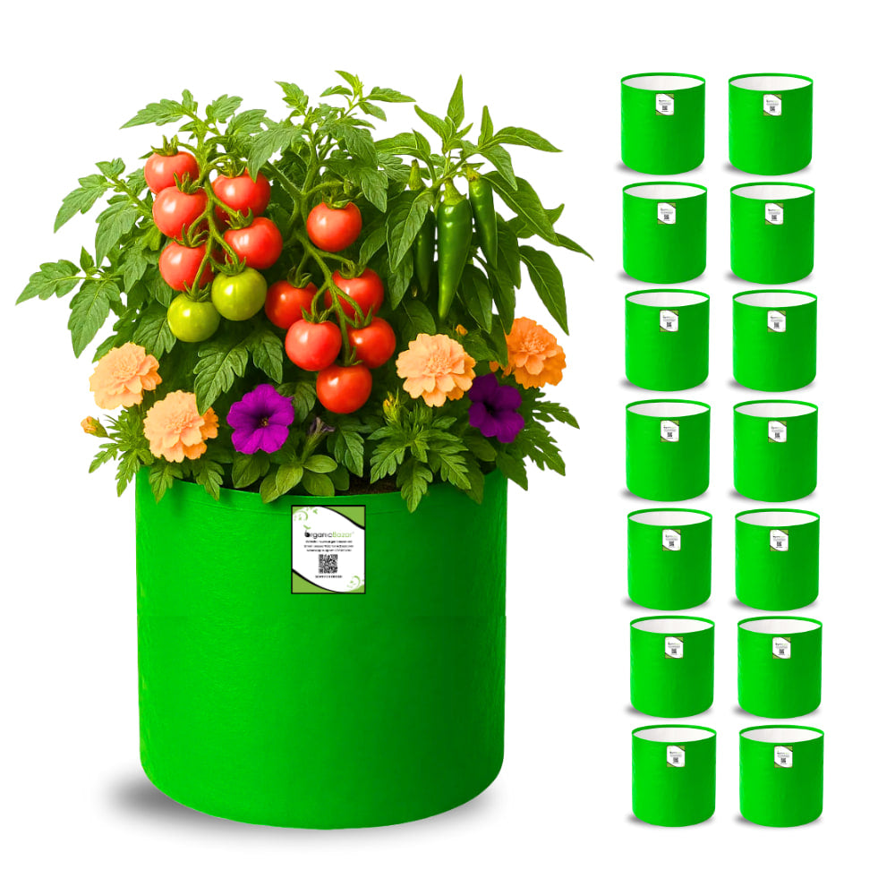 OrganicBazar 12×12 HDPE Round Grow Bag – Premium Quality, Heavy-Duty, UV-Stabilized (260 GSM) Green Plant Bags