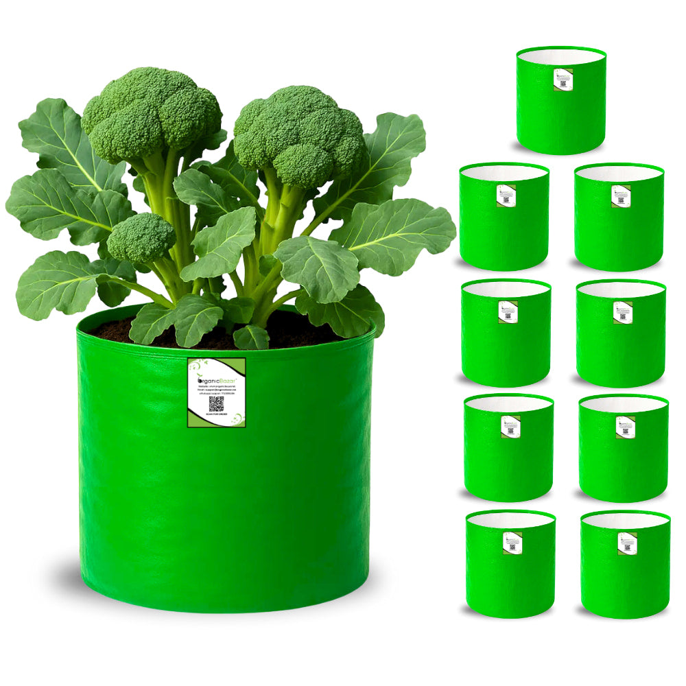 OrganicBazar 12x15 Grow Bag for Vegetable Garden, Premium HDPE 260 GSM, Green Plant Bags