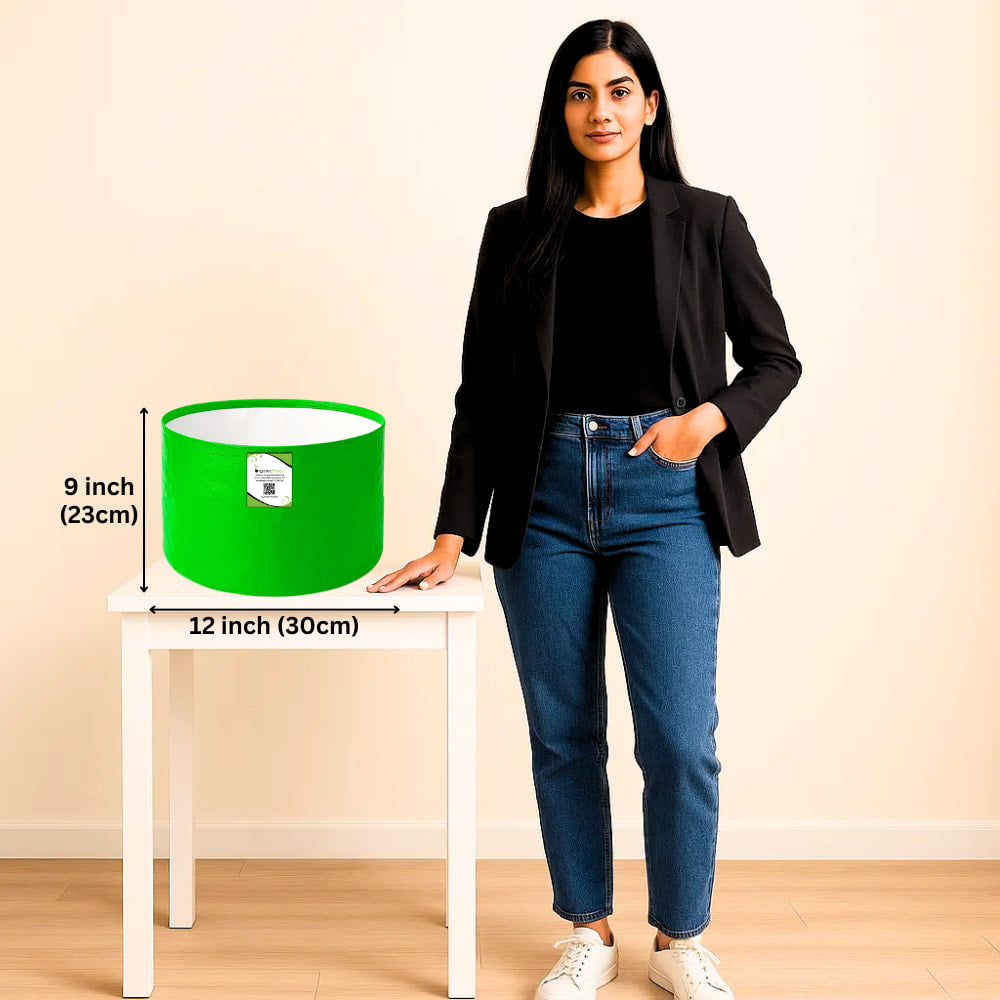 OrganicBazar 12x9 Grow Bag for Vegetable Garden, Premium HDPE 260 GSM Green Plant Bags for Terrace Garden