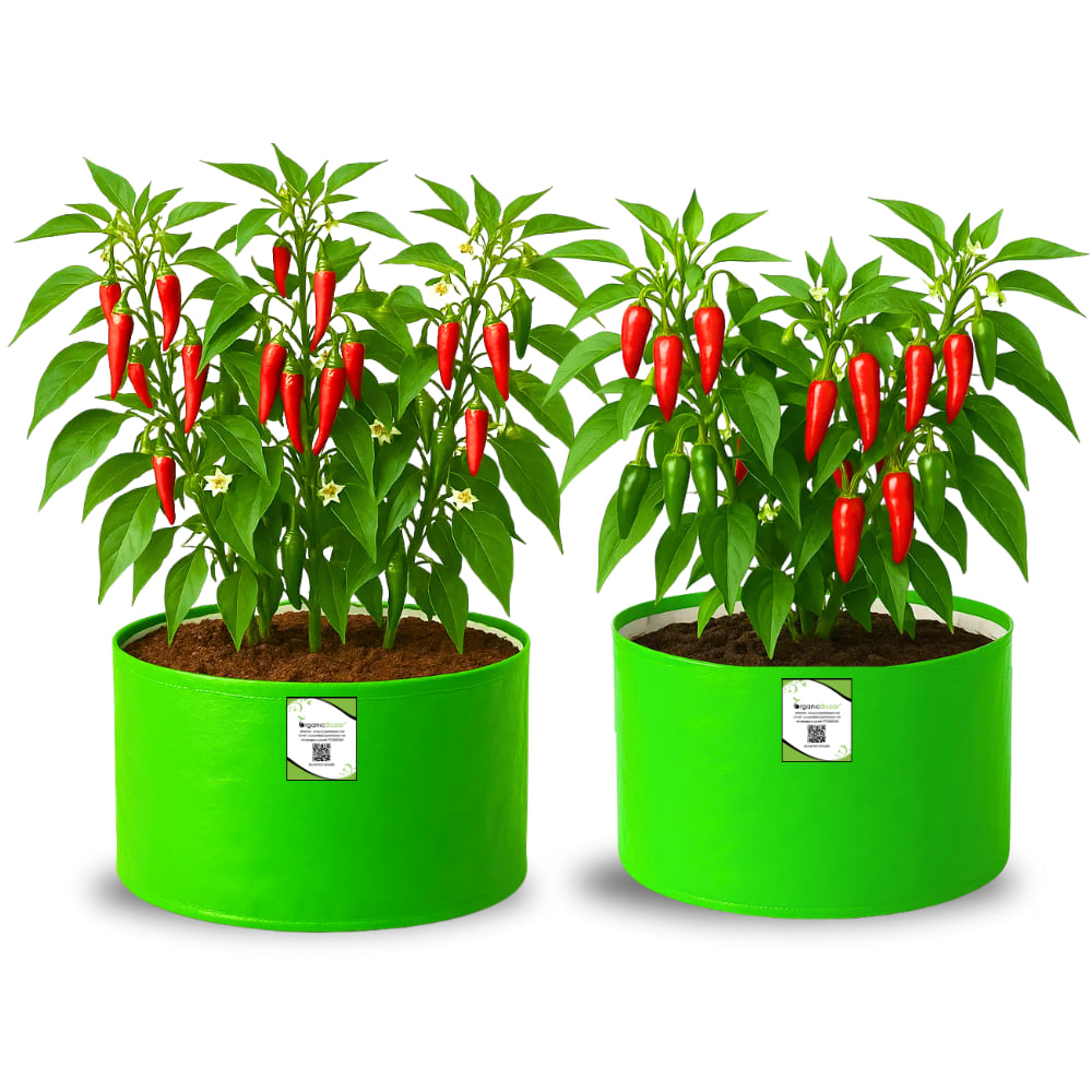 OrganicBazar 12x9 Grow Bag for Vegetable Garden, Premium HDPE 260 GSM Green Plant Bags for Terrace Garden