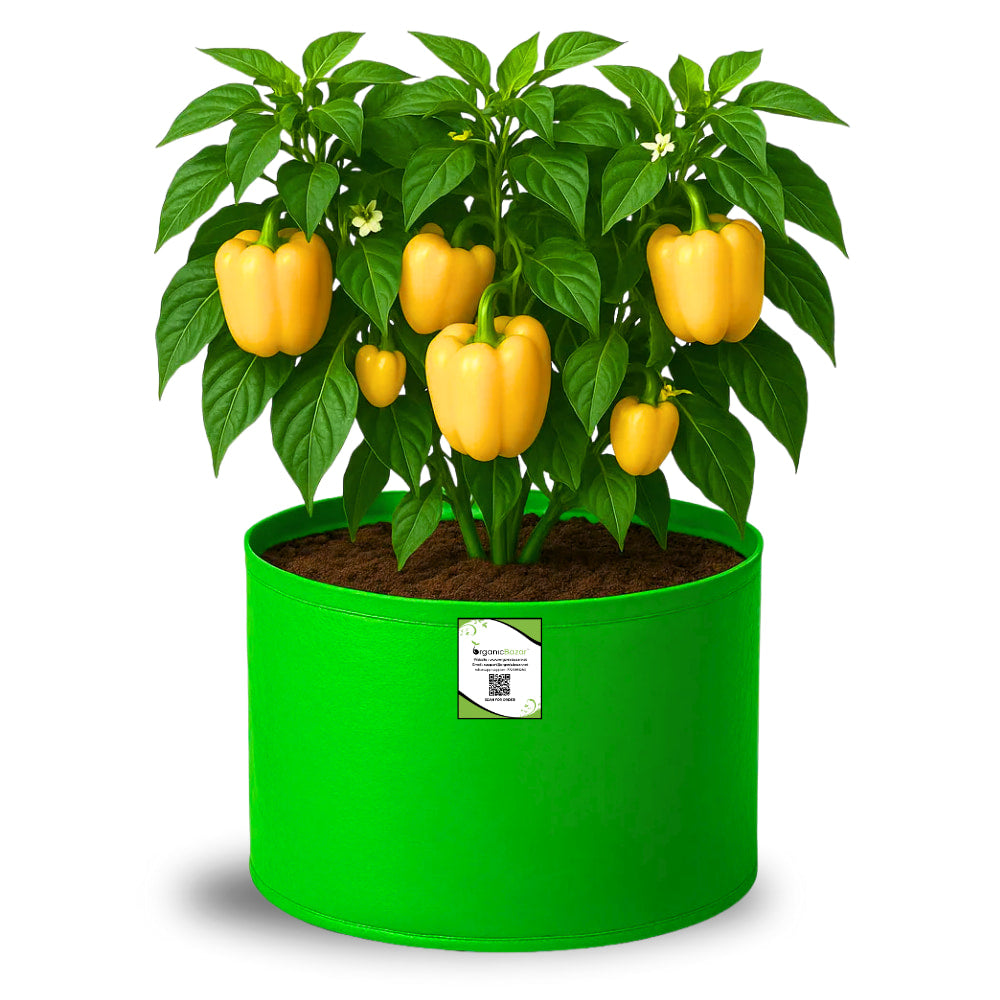 OrganicBazar 15x12 Grow Bag for Vegetable Garden, Premium HDPE 260 GSM Green Plant Bags for Terrace Gardening