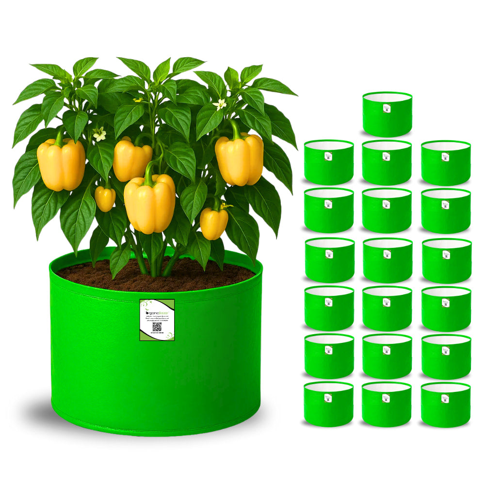 OrganicBazar 15x12 Grow Bag for Vegetable Garden, Premium HDPE 260 GSM Green Plant Bags for Terrace Gardening