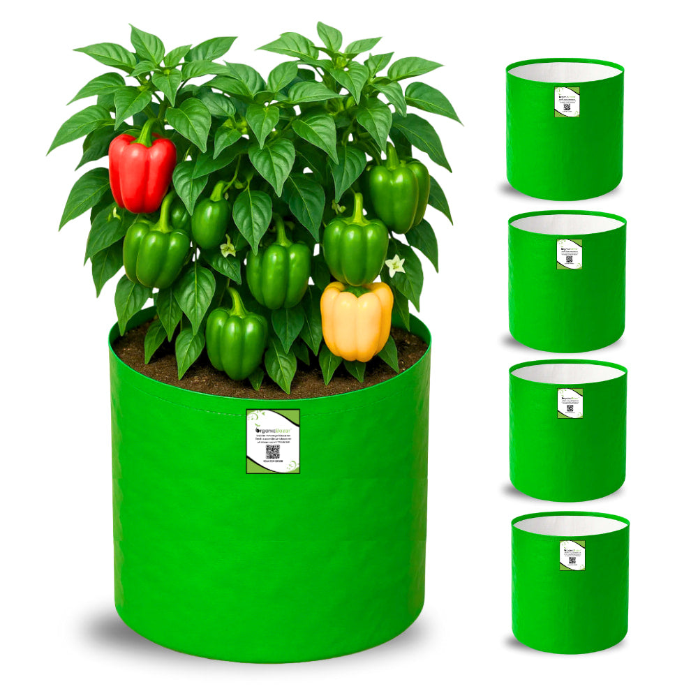 OrganicBazar 15x15 Grow Bag for Vegetable Gardening, Premium HDPE 260 GSM, Green Plant Bags for Terrace Garden