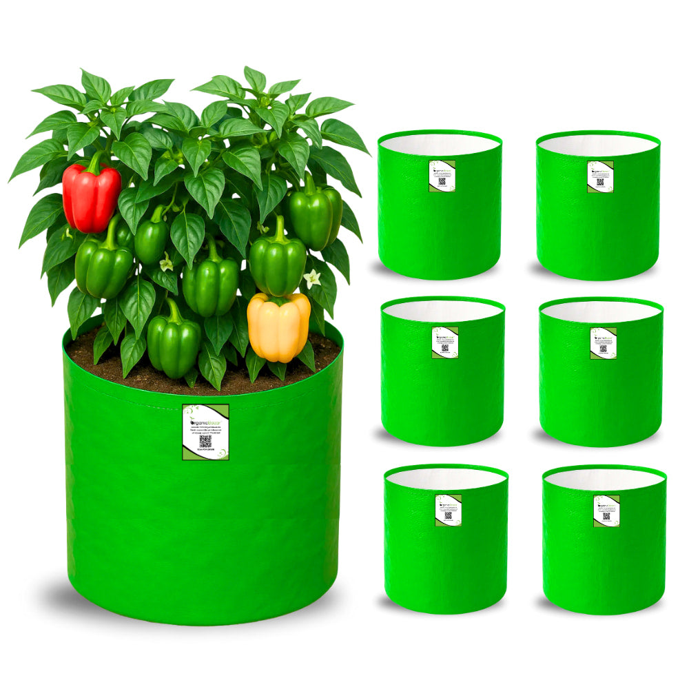 OrganicBazar 15x15 Grow Bag for Vegetable Gardening, Premium HDPE 260 GSM, Green Plant Bags for Terrace Garden