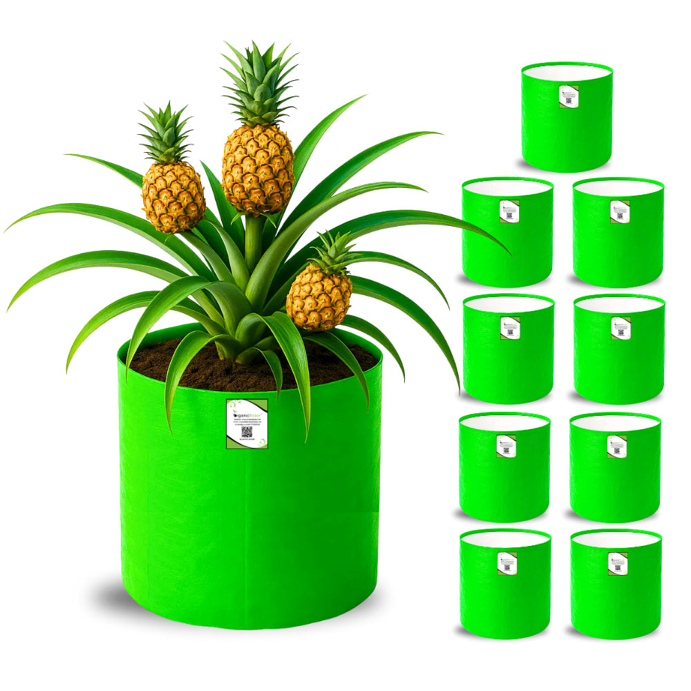 OrganicBazar 15x18 Big Grow Bag for Terrace Garden, Premium HDPE 260 GSM Green Plant Bags