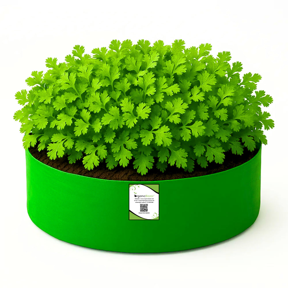 OrganicBazar 15x6 Grow Bag for Leafy Vegetables, Premium HDPE 260 GSM, Green Plant Bags