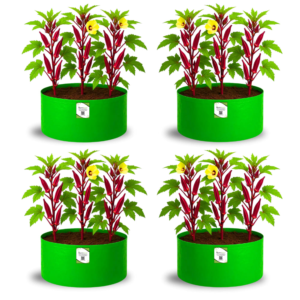 OrganicBazar 18x12 Grow Bag for Vegetable Gardening, Premium HDPE 260 GSM, Green Plant Bags for Home Garden