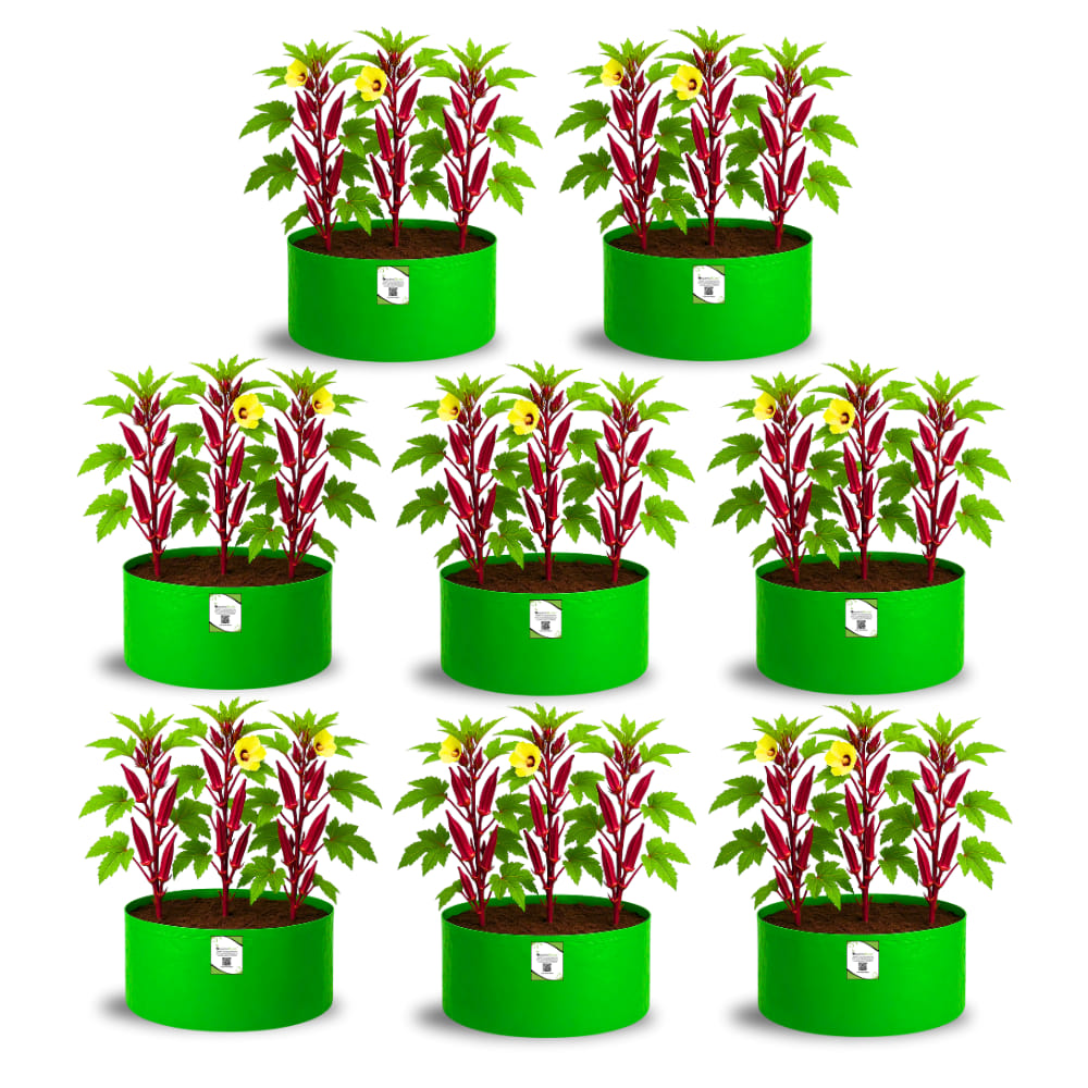 OrganicBazar 18x12 Grow Bag for Vegetable Gardening, Premium HDPE 260 GSM, Green Plant Bags for Home Garden