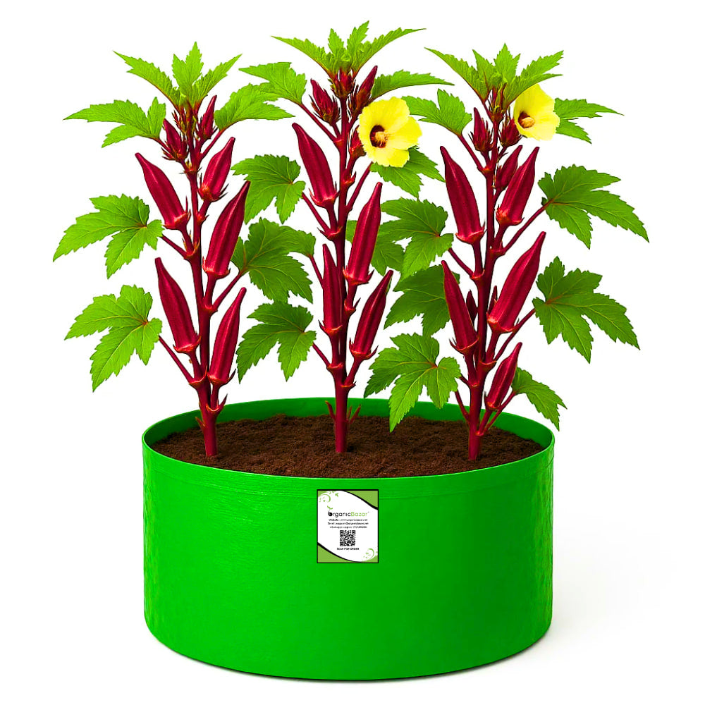 OrganicBazar 18x12 Grow Bag for Vegetable Gardening, Premium HDPE 260 GSM, Green Plant Bags for Home Garden