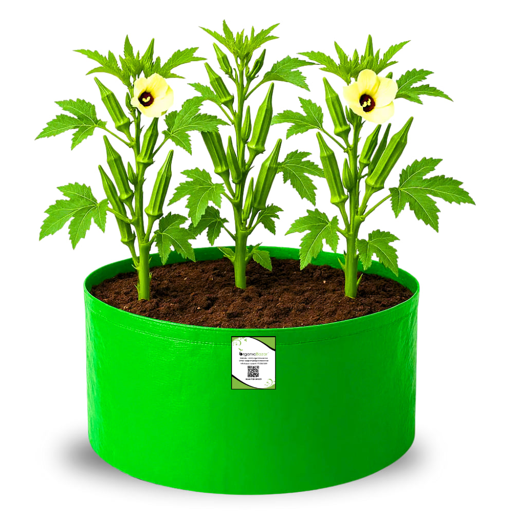 OrganicBazar 18x15 Grow Bag for Vegetable Garden, Premium HDPE 260 GSM, Green Plant Bags for Terrace Garden