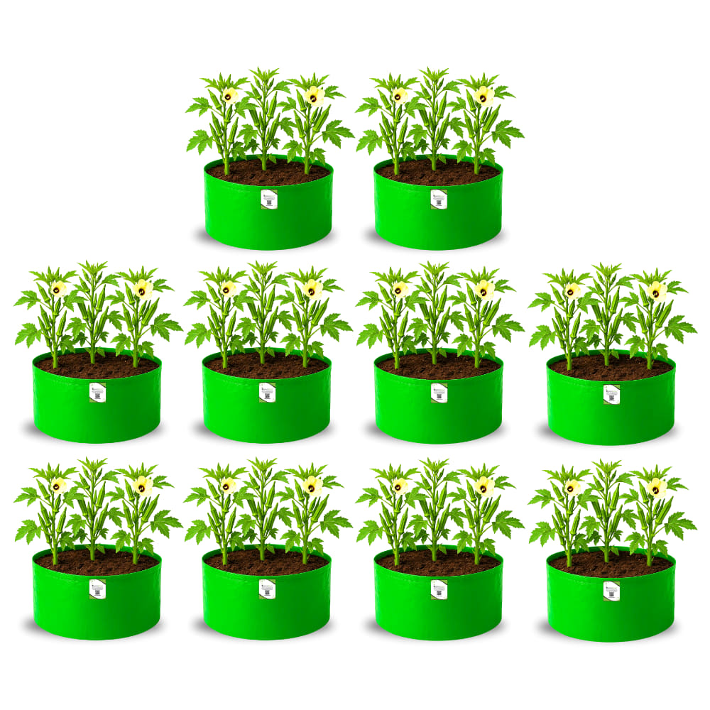 OrganicBazar 18x15 Grow Bag for Vegetable Garden, Premium HDPE 260 GSM, Green Plant Bags for Terrace Garden