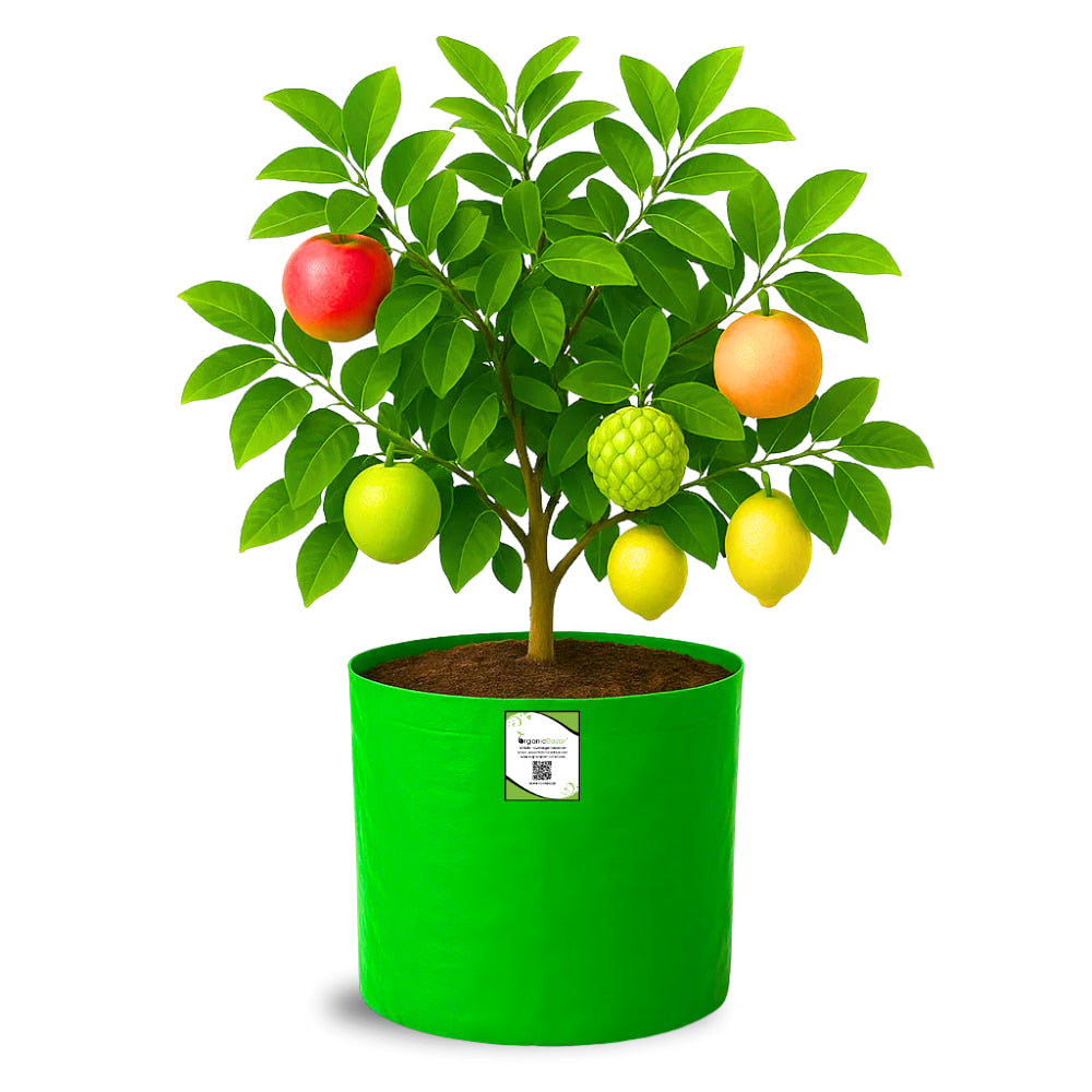 HDPE 18x18 Grow Bags for Terrace Gardening Extra Thick Premium Quality Grow Bags