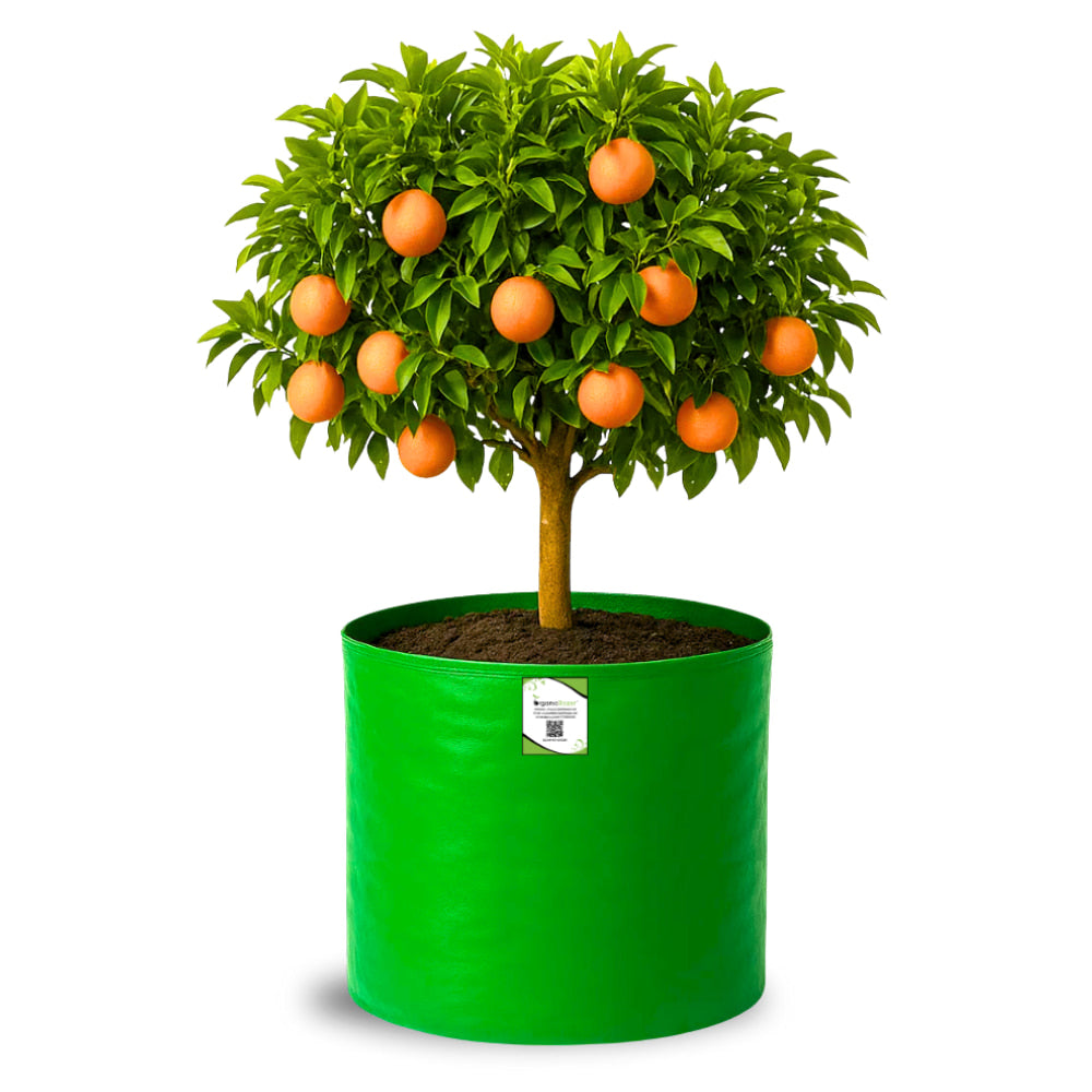 HDPE 18x18 Grow Bags for Terrace Gardening Extra Thick Premium Quality Grow Bags