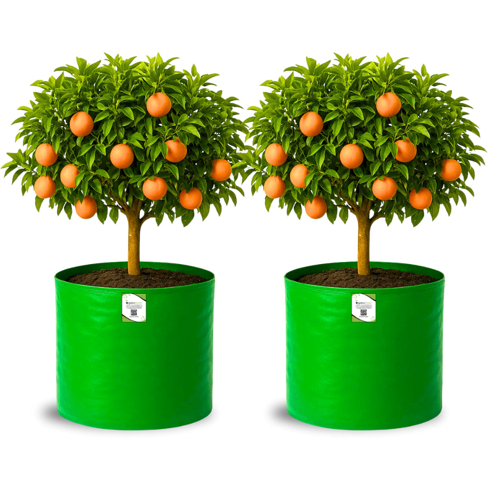 HDPE 18x18 Grow Bags for Terrace Gardening Extra Thick Premium Quality Grow Bags