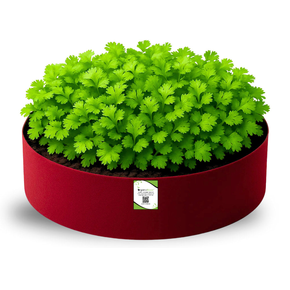 OrganicBazar Geo 18x6 Leafy Grow Bags for Leafy Vegetables for Terrace Garden, Premium Geo Fabric 450 GSM Plant Bags