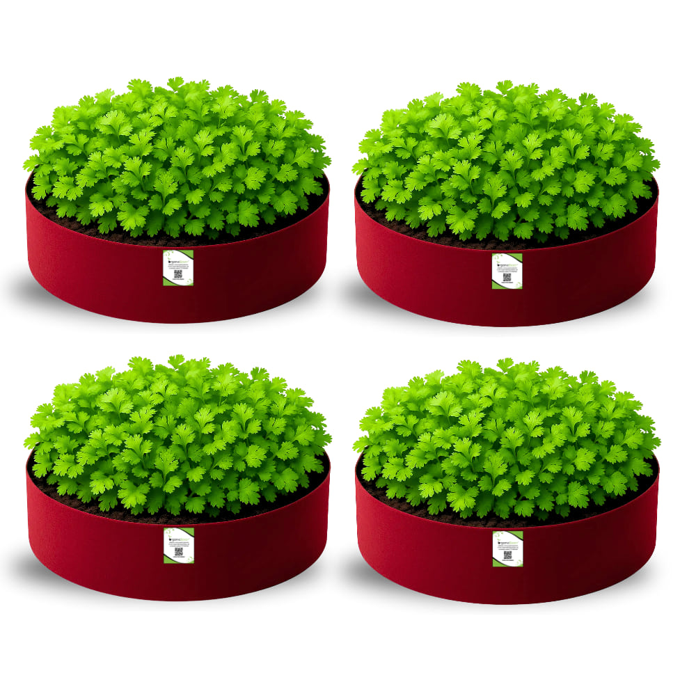 OrganicBazar Geo 18x6 Leafy Grow Bags for Leafy Vegetables for Terrace Garden, Premium Geo Fabric 450 GSM Plant Bags